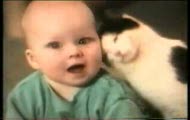smieszne koty xxx