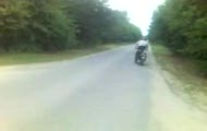 marcin88