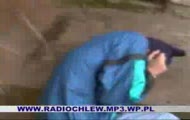 Radio Chlew - Na Polu Od Rana