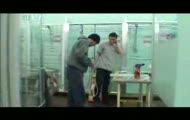 ROCKY IS BACK (REMI GAILLARD)