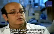 Wytworzono sztuczną spermę