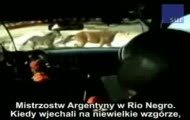 Niewiarygodny wypadek z udziałem konia