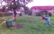 z byka w kosz