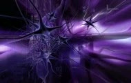 Exterminal & Max Farenthide - Music Revolution