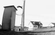 bflip z 10m