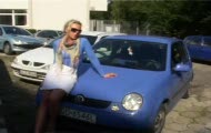 Poleruje misia