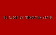 BUJKA NA DZIAŁCE