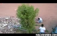 Profesionalne przycinanie krzewu