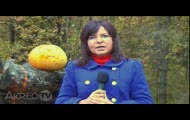 Akreo.TV - Halloween