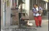 Wytresował kaczkę i koguta