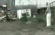 Nie sikaj na płot elektryczny