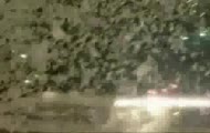 Kibice: Ekwador vs Paragwaj ULTRAS