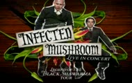 Infected Mushroom - Herbert the Pervert