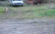 Audi drift