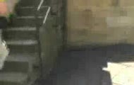 koles zapina babke na wieży hahaha