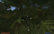 Gothic Saga (PC) - Prezentacja gry (CD Projekt) Gothic Saga (PC) - Prezentacja gry (CD Projekt)