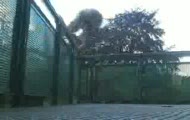 http://parkour.warto.obelzec.patrz.pl
