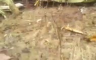 Smoleńsk strzały [Napisy PL] [katastrofa Tu-154 pod smoleńskiem]