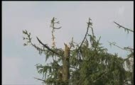 Wizualizacja 3D toru lotu rządowego TU 154M