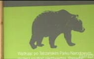 Agresywny niedźwiedź straszy w Tatrach