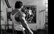 Arnold Schwarzenegger biceps