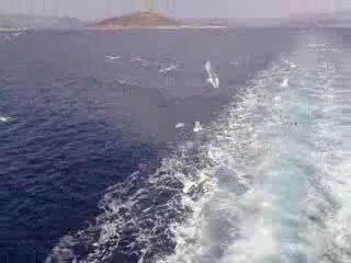 V240510_16.11.3gpARON WESS MIUZIK & natural ocean pacyfik 1