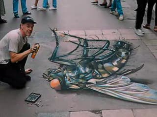 Julian Beever