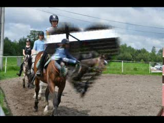 Super konie i super jeźdźcy :*