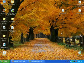 jak zablokować aktualizację Windowsa?
