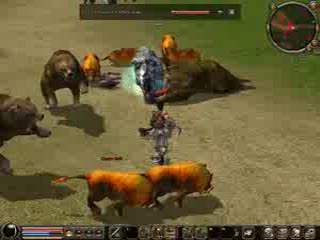 Metin2.pl DeadlyShot vs. Metin Walki