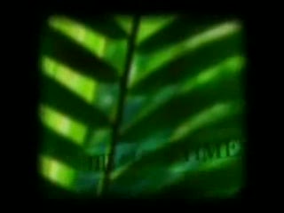 Produkt Mona-vie