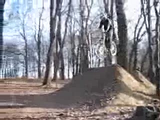 Fly or Die