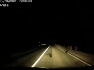 Nocny samobójca