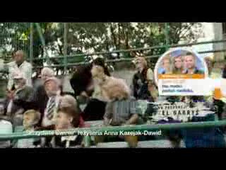 Typowy Polski kibic