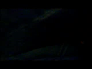 Bydło - Nowa gwiazda 