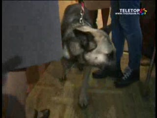 Nowy lokator domu dziennego pobytu