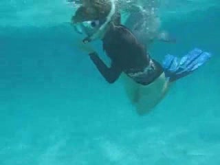 wyraźnie czymś zaciekawiony delfin - swimming with dolphin