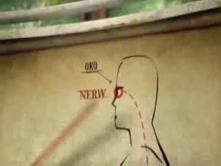 Rosyjscy naukowcy odkryli nerw łączący oko z dupą.