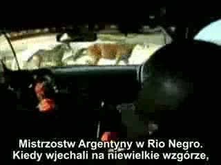 Rajd i wypadek z udziałem koni