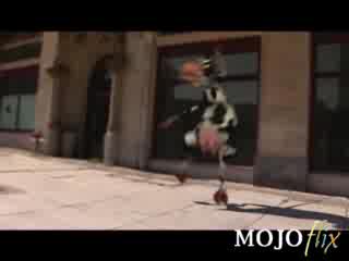 i like to moo