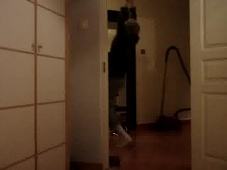 Polski dobry por