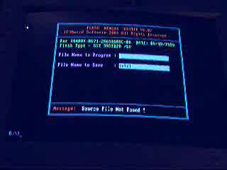 Programowanie Biosu