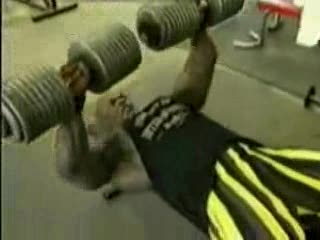 Ronnie Coleman - kulturystyka bodybuilding Video