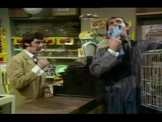 Monty Python - Dead Parrot