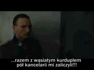 Upadek (malpa240)