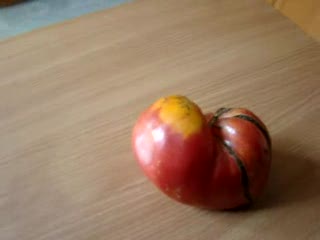 Pomidor mutant