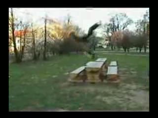 Polish Stunts 1