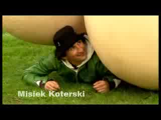 Rusz Dupę Idz Glosowac
