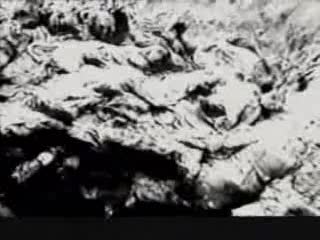 W lesie Katynskim 1943