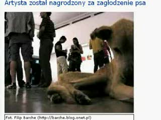 artysta zagłodził psa